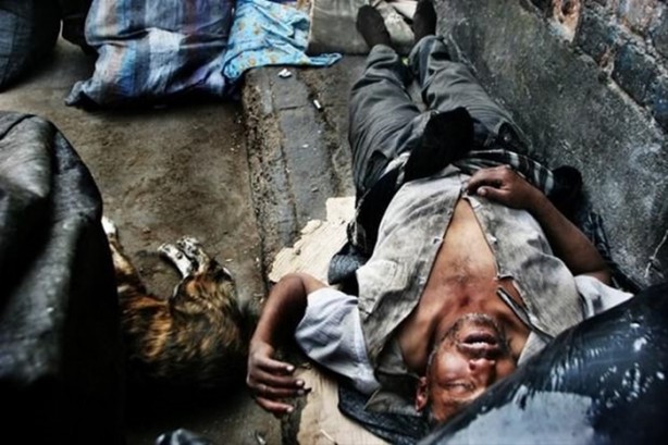 Foto - Tüyler ürperten yaşam