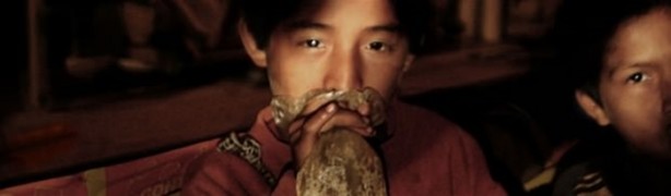 Foto - Tüyler ürperten yaşam