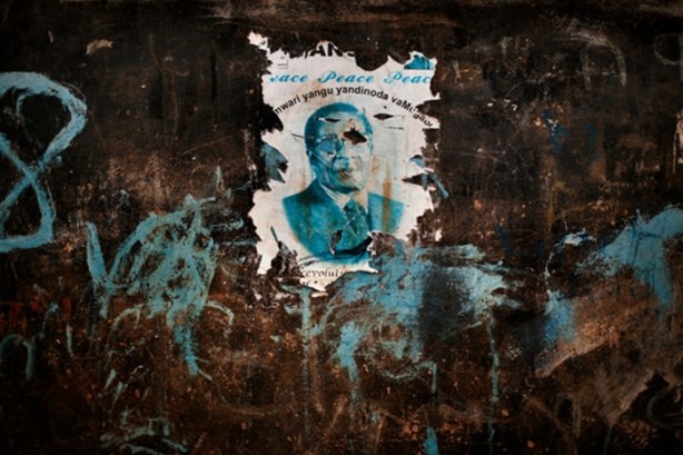 Foto - Tüyler ürperten yaşam