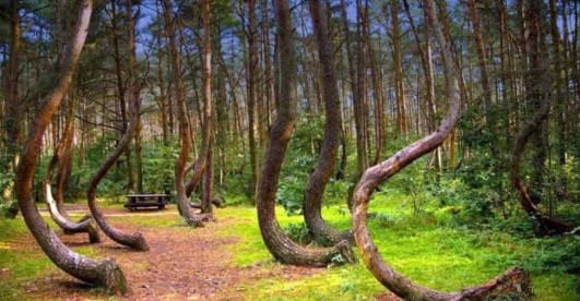 Foto - Tüyleriniz diken diken olacak! Dünyanın dört bir yanındaki gizemli yerler