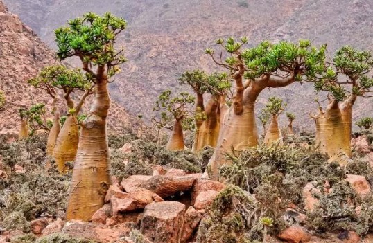 Foto - Tüyleriniz diken diken olacak! Dünyanın dört bir yanındaki gizemli yerler