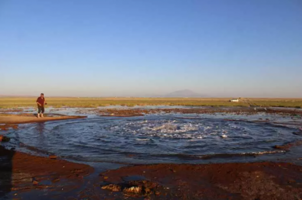 Foto - Tuz gölü havzasında esrarengiz bir olay! Çiftçiler endişe içinde