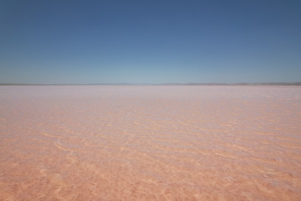 Foto - Tuz Gölü pembe renge büründü