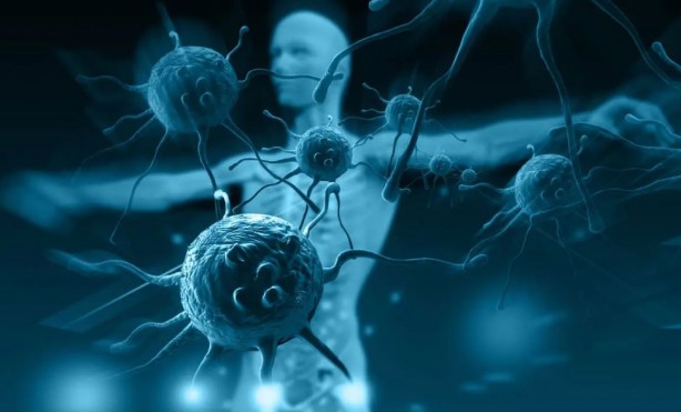 Foto - Tuzla tüketilen çağlanın öyle faydaları var ki... Adeta vitamin deposu!