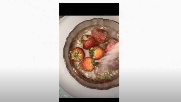 Foto - Tuzlu suya çilek koyma deneyi! Görüntüler şoke etti