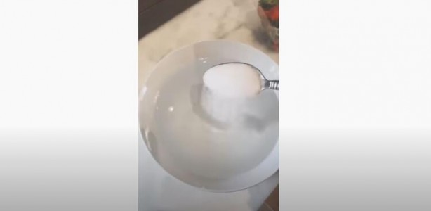 Foto - Tuzlu suya çilek koyma deneyi! Görüntüler şoke etti