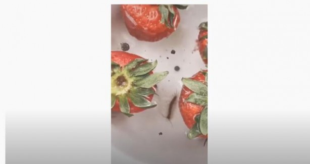 Foto - Tuzlu suya çilek koyma deneyi! Görüntüler şoke etti