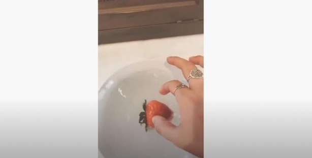 Foto - Tuzlu suya çilek koyma deneyi! Görüntüler şoke etti