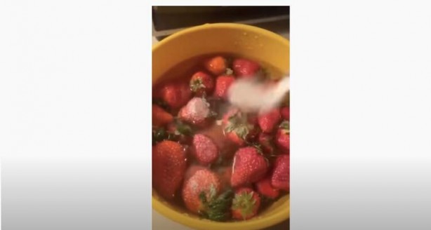 Foto - Tuzlu suya çilek koyma deneyi! Görüntüler şoke etti