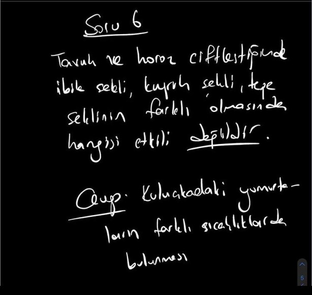Foto - TYT'de Çıkan Biyoloji Soruları YKS 2020