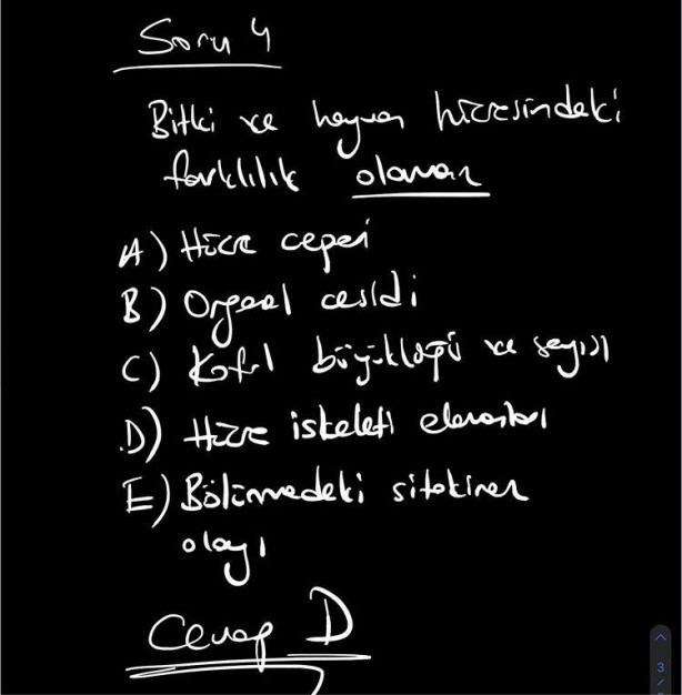 Foto - TYT'de Çıkan Biyoloji Soruları YKS 2020