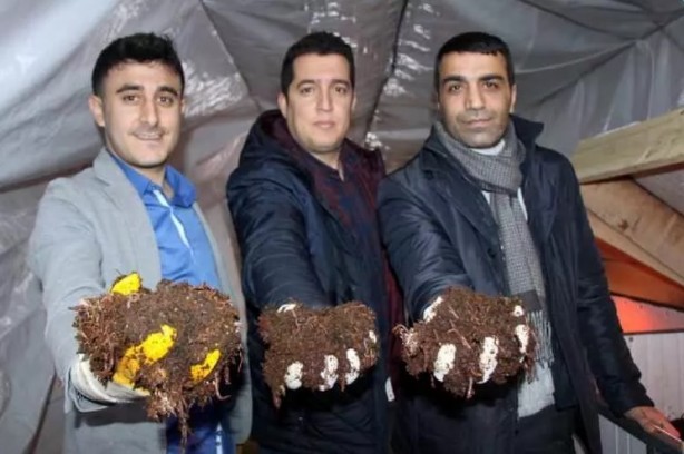 Üç arkadaş internette gördüğü bu işe girdi... Şimdi paraya para demiyorlar