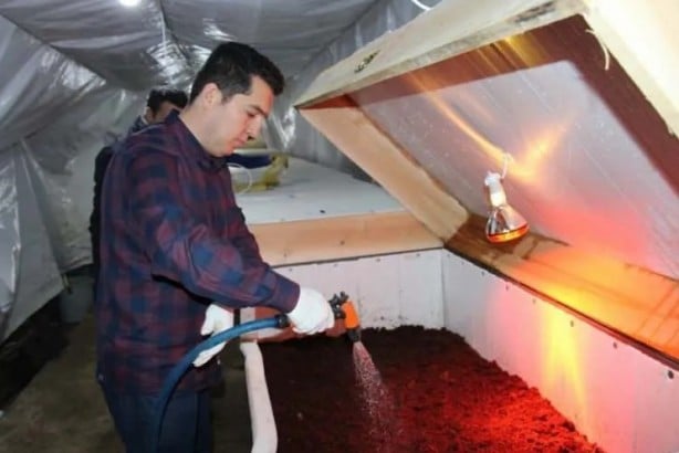 Foto - Üç arkadaş internette gördüğü bu işe girdi... Şimdi paraya para demiyorlar