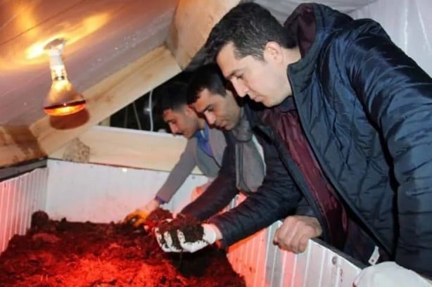 Foto - Üç arkadaş internette gördüğü bu işe girdi... Şimdi paraya para demiyorlar
