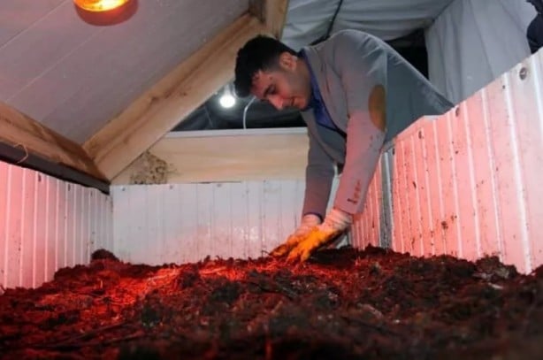 Foto - Üç arkadaş internette gördüğü bu işe girdi... Şimdi paraya para demiyorlar