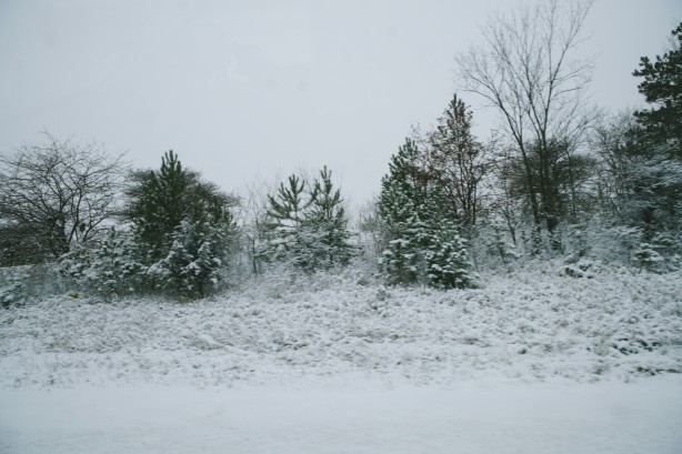 Foto - Üç ülke kış fırtınasına teslim oldu! 57 kişi yaşamını yitirdi