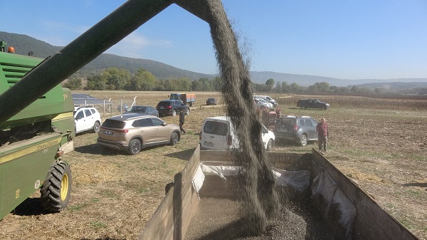 Foto - Üç yılda üretim 2 katına çıktı