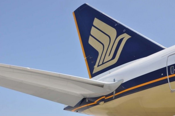 Foto - Uçak, Leylek sürüsüne girdi