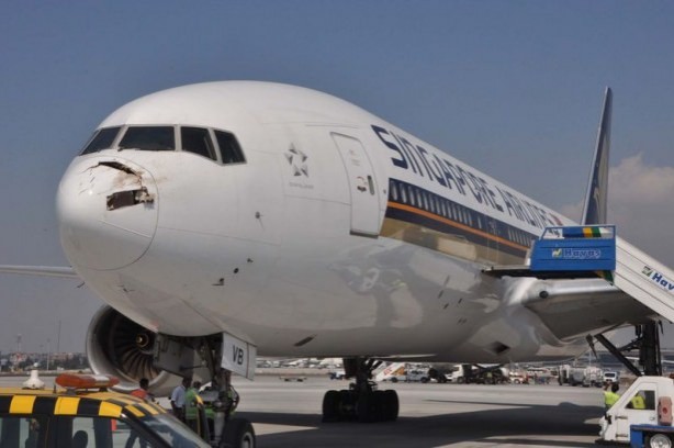 Foto - Uçak, Leylek sürüsüne girdi