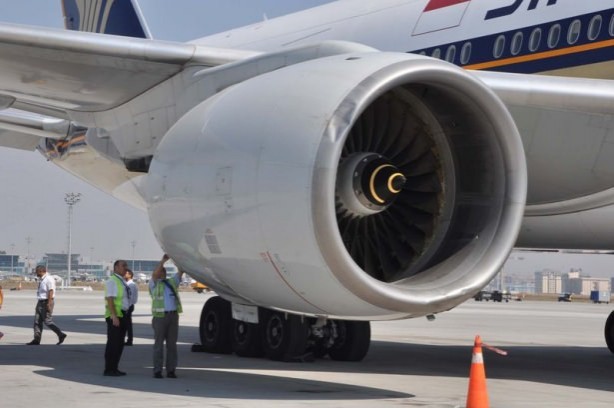 Foto - Uçak, Leylek sürüsüne girdi