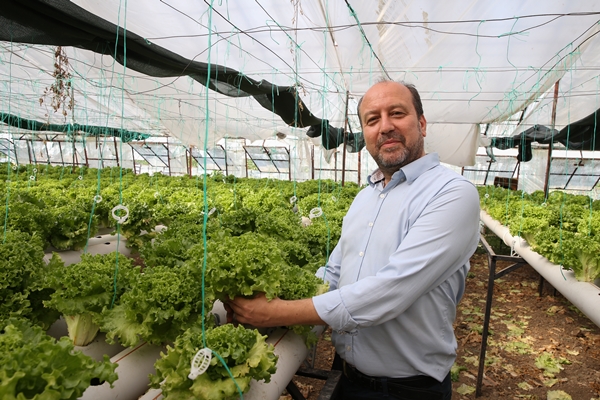 Foto - Uçak mühendisliğini bırakıp topraksız tarımla sebze üretmeye başladı