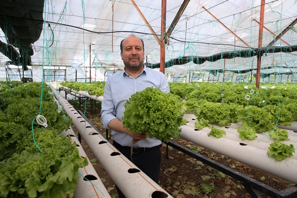 Foto - Uçak mühendisliğini bırakıp topraksız tarımla sebze üretmeye başladı