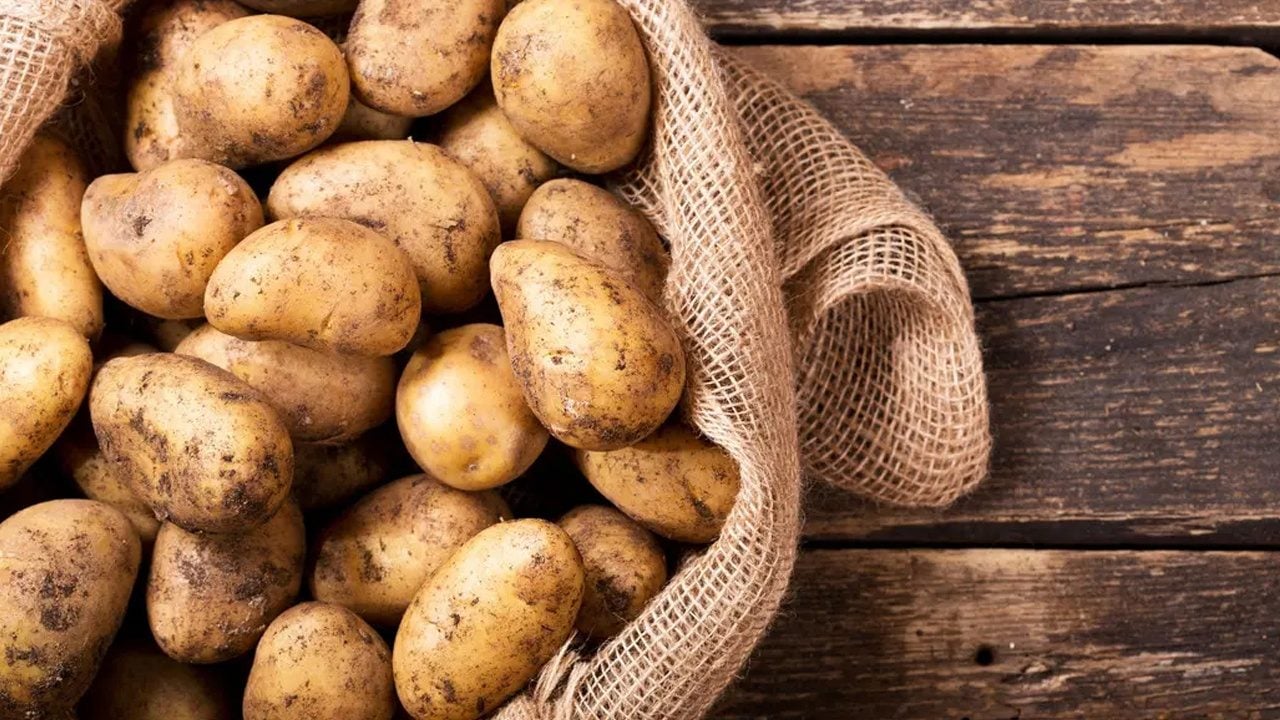 Foto - Uçak yolculuğunda yerine tonlarca patates yerleştirdiler! Hiç kimse bilmiyordu