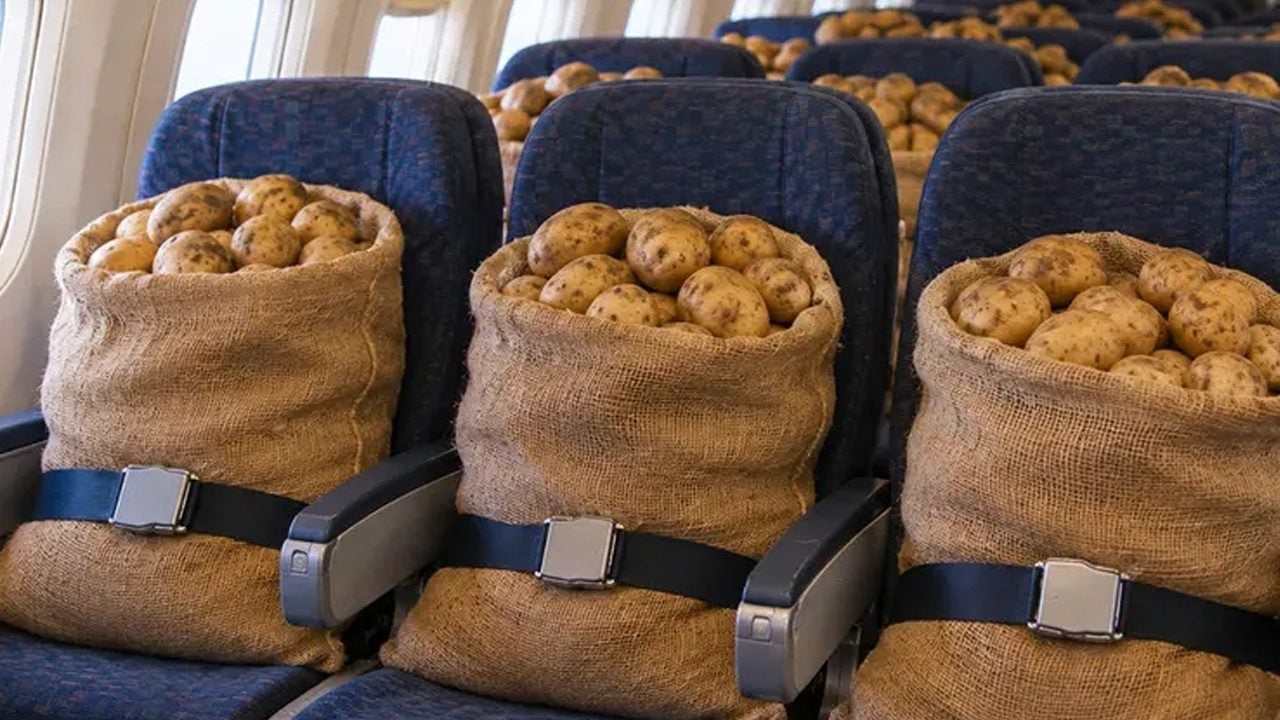 Foto - Uçak yolculuğunda yerine tonlarca patates yerleştirdiler! Hiç kimse bilmiyordu
