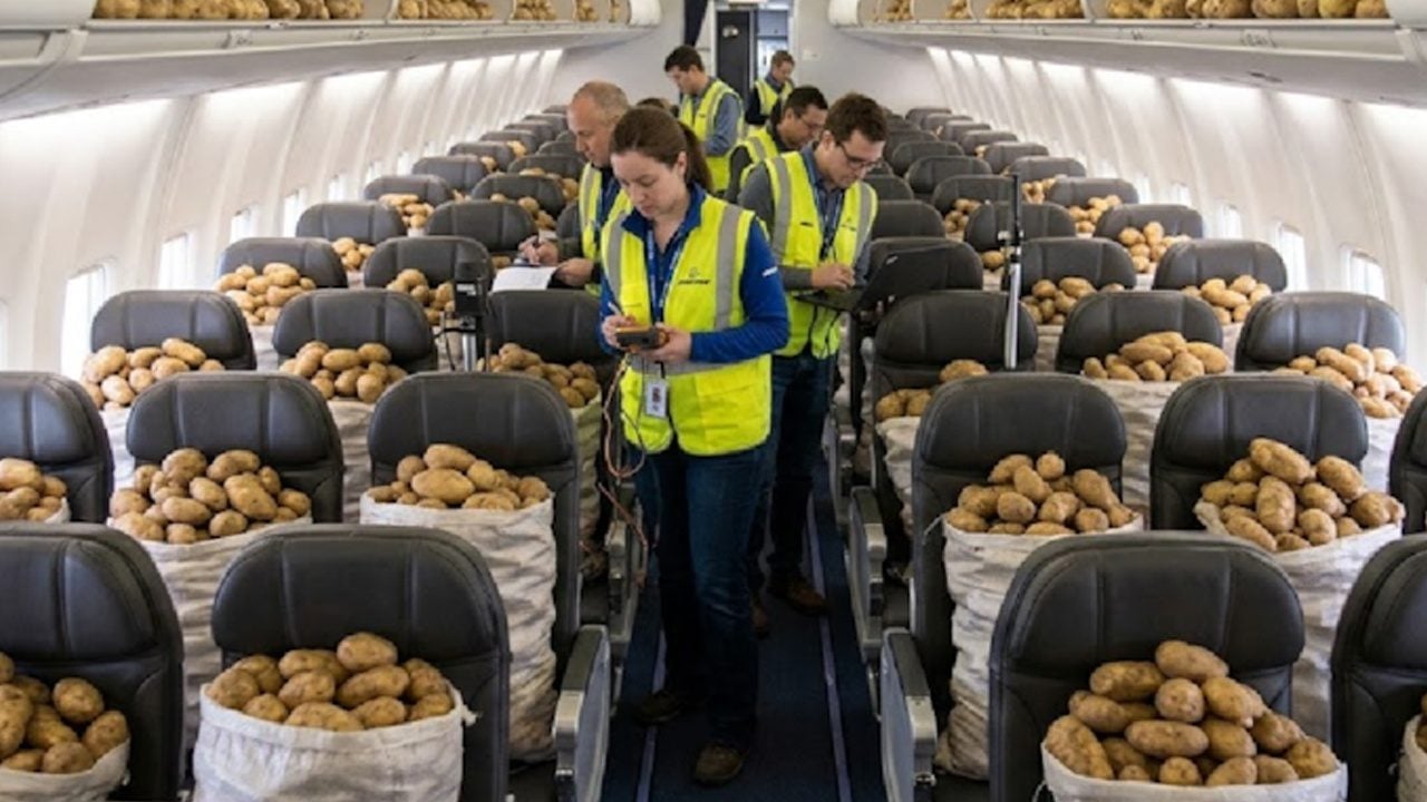 Foto - Uçak yolculuğunda yerine tonlarca patates yerleştirdiler! Hiç kimse bilmiyordu