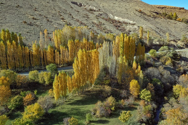 Foto - Üçkaya Vadisi'nde sonbahar renkleri 