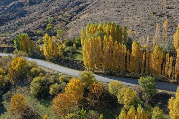 Foto - Üçkaya Vadisi'nde sonbahar renkleri 
