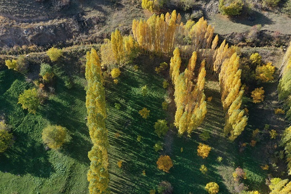 Foto - Üçkaya Vadisi'nde sonbahar renkleri 