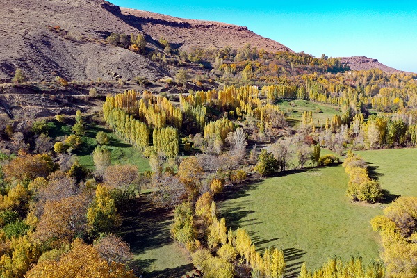 Foto - Üçkaya Vadisi'nde sonbahar renkleri 