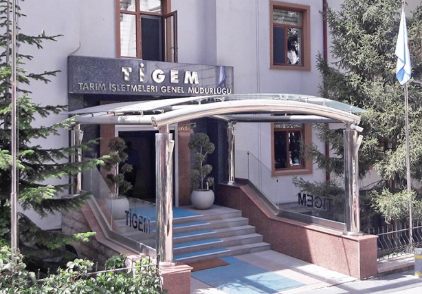 Foto - Ücretsiz 10 bin 859 küçük baş hayvan dağıtılmıştı: Şimdi de; bin 95 büyükbaş hayvan daha dağıtılacak