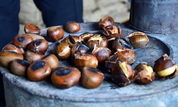 Ucuz diye sakın almayın... İşte Çin kestanesinin 3 farkı