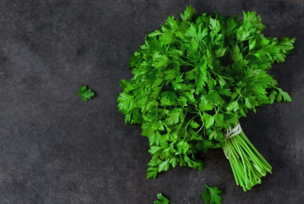 Foto - Ucuz olduğu için önemsenmiyor! Tam bir şifa deposu