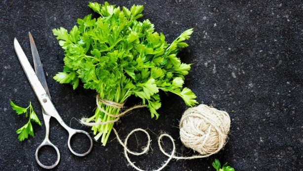 Foto - Ucuz olduğu için önemsenmiyor! Tam bir şifa deposu