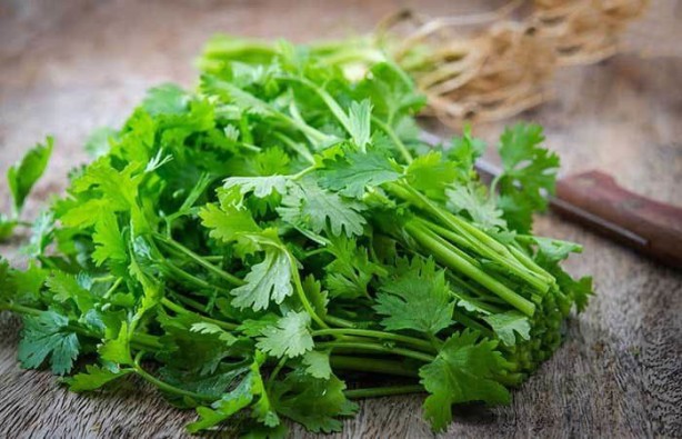 Foto - Ucuz olduğu için önemsenmiyor! Tam bir şifa deposu