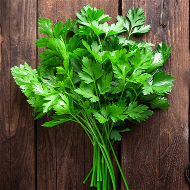 Foto - Ucuz olduğu için önemsenmiyor! Tam bir şifa deposu