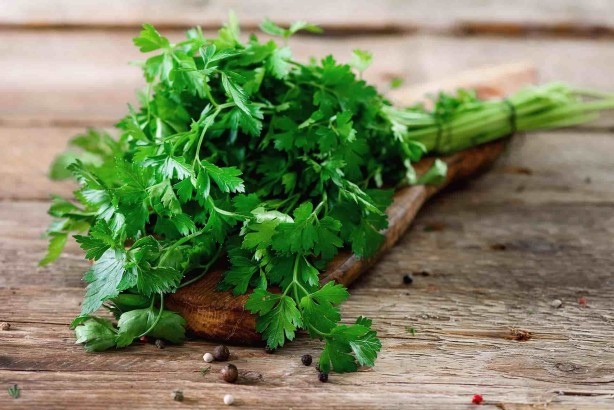 Foto - Ucuz olduğu için önemsenmiyor! Tam bir şifa deposu