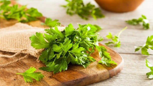 Foto - Ucuz olduğu için önemsenmiyor! Tam bir şifa deposu