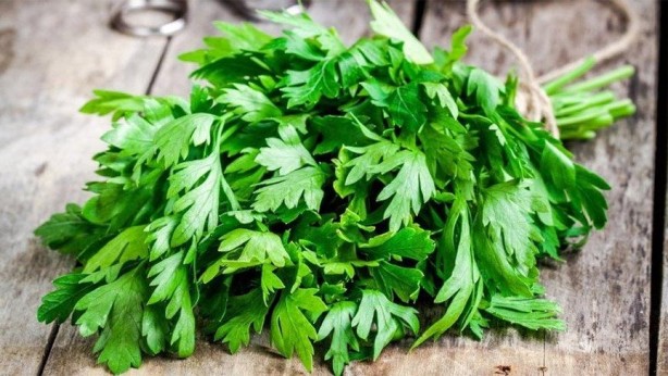 Foto - Ucuz olduğu için önemsenmiyor! Tam bir şifa deposu