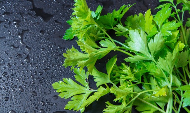 Foto - Ucuz olduğu için önemsenmiyor! Tam bir şifa deposu