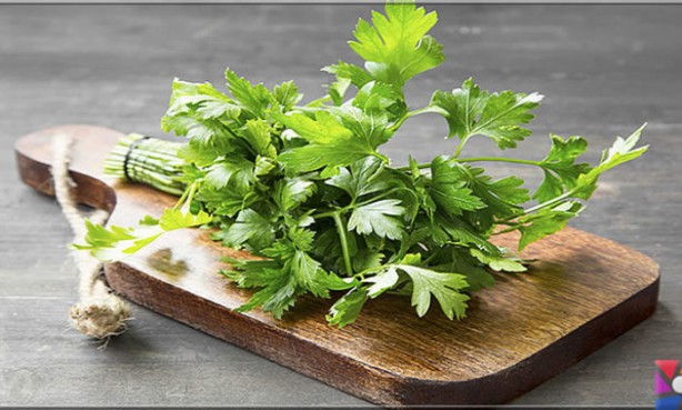 Foto - Ucuz olduğu için önemsenmiyor! Tam bir şifa deposu