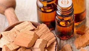 Foto - Udi Hindi Yağının faydaları nelerdir?