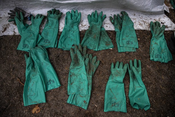 Foto - Ukrayna'dan dehşete düşüren görüntüler! Gömüldükleri yerden çıkarılıyorlar