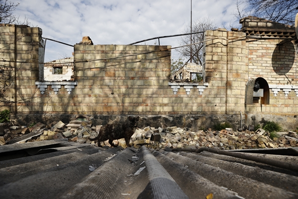 Foto - Ukraynalı köylüler yaşadıkları dramı anlattı: Açlıktan az kalsın ölüyorduk