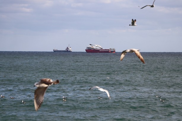 Ulaşıma poyraz engeli