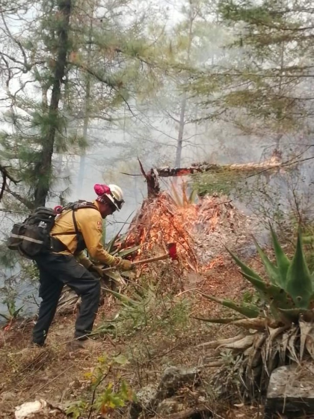 Foto - Ülke alarmda! 24 saatte 42 orman yangını