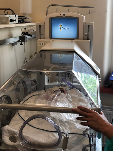 Foto - Ülke tarihinde bir ilk! 4,7 milyarda 1 ihtimal gerçek oldu!
